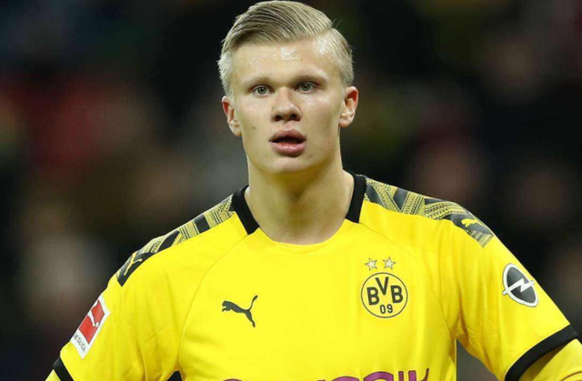 度情绪化投 度情绪化投